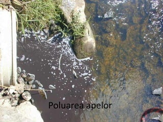 Poluarea apelor