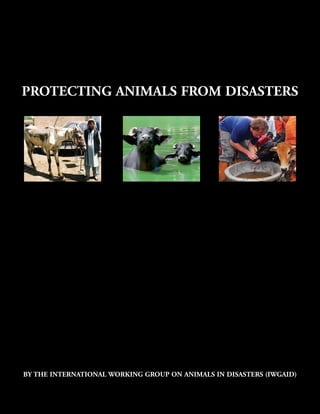 PROTECTING ANIMALS FROM DISASTERS




BY THE INTERNATIONAL WORKING GROUP ON ANIMALS IN DISASTERS (IWGAID)
 