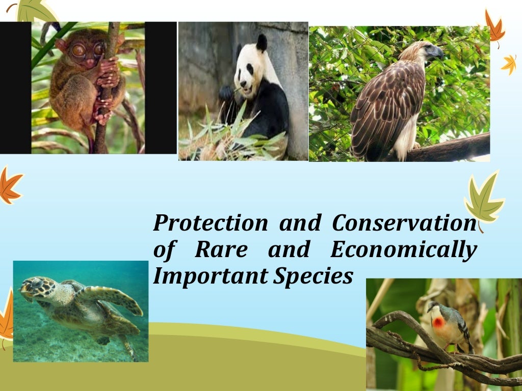 Protecting endangered plant and animal species