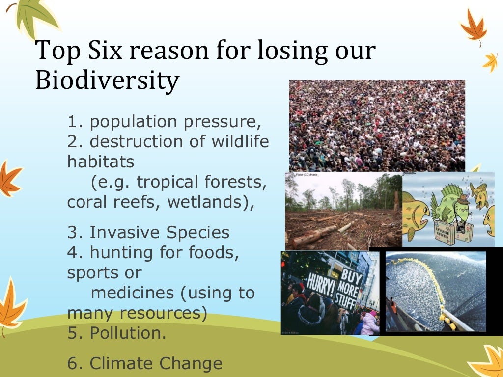 Protecting endangered plant and animal species