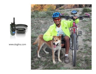 www.dogtra.com
 