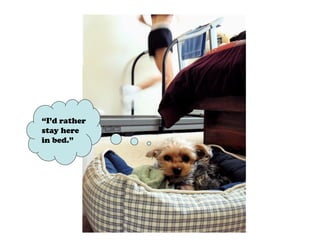 “I’d rather
stay here
in bed.”
 