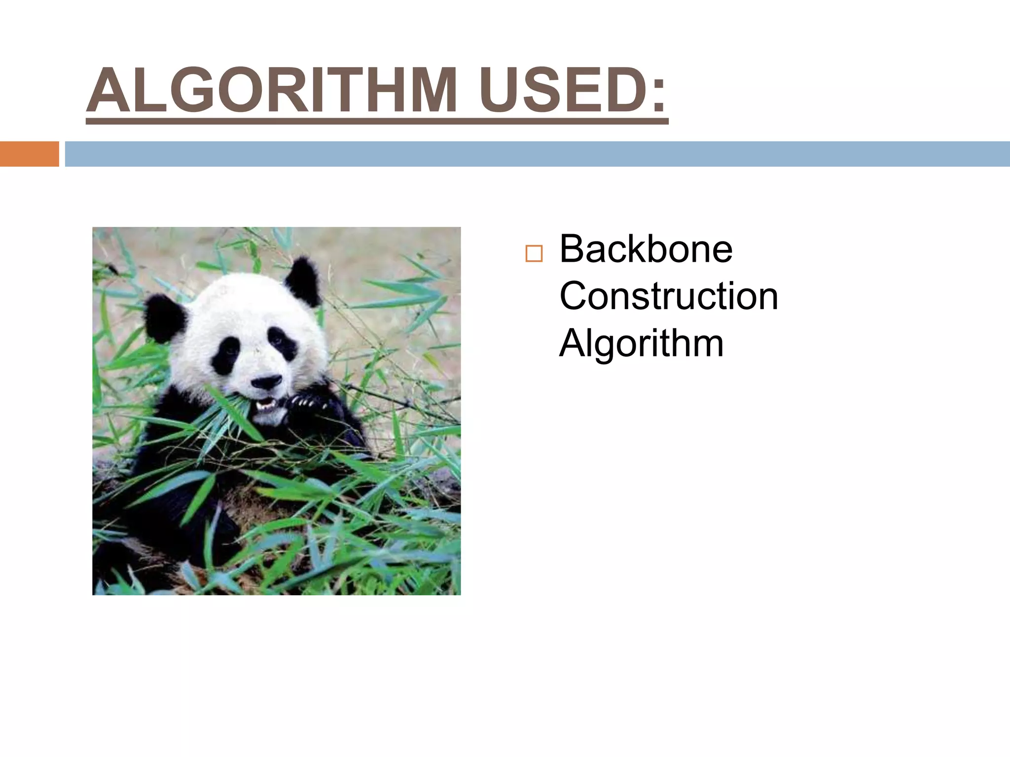 ALGORITHM USED:

              Backbone
               Construction
               Algorithm
 