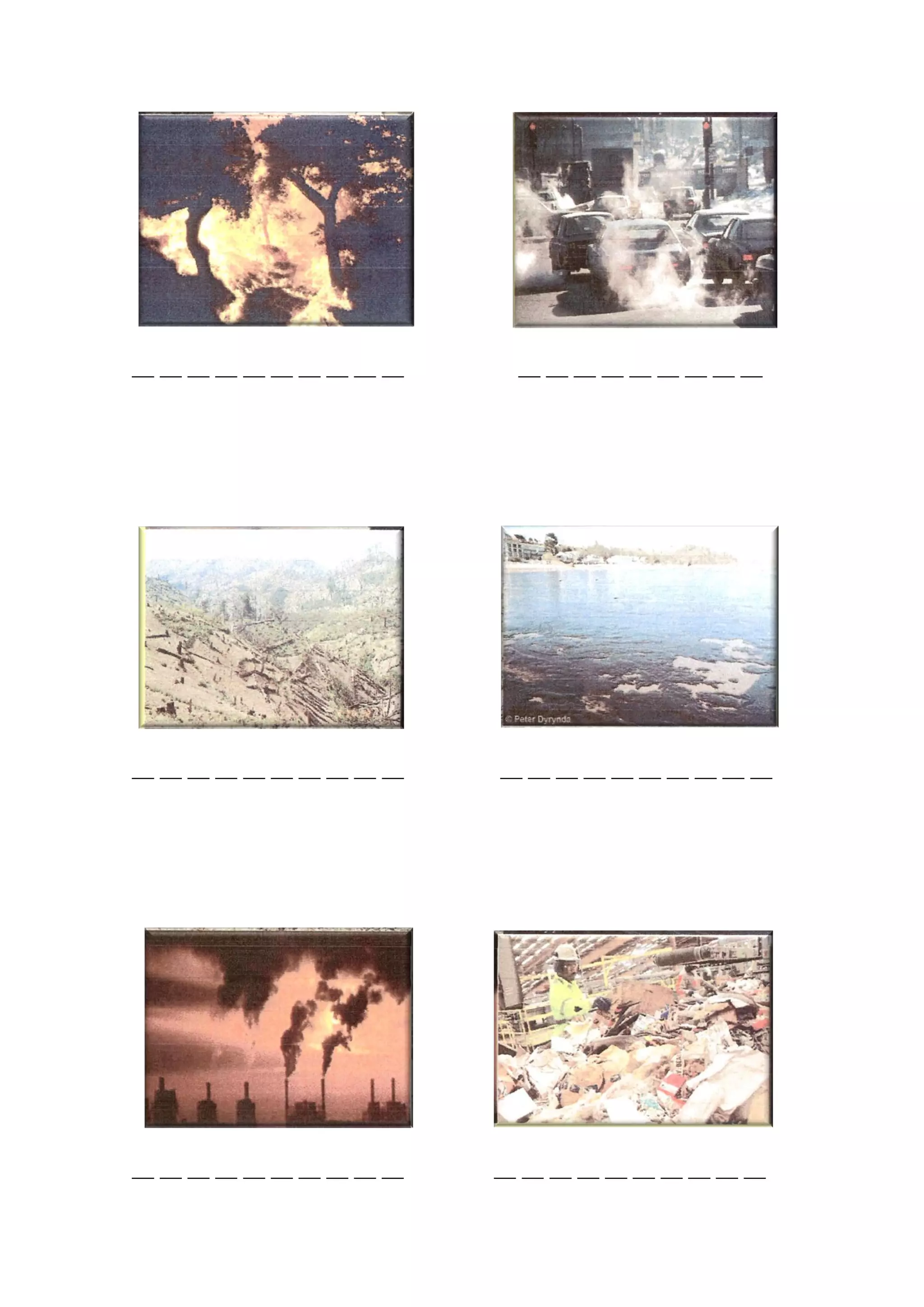 Protecting Nature.pdf