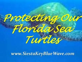 Protecting Our
Florida Sea
Turtles
www.SiestaKeyBlueWave.com
 