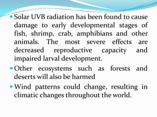  Solar UVB radiation has been found to cause
  damage to early developmental stages of
  fish, shrimp, crab, amphibians and other
  animals. The most severe effects are
  decreased reproductive capacity and
  impaired larval development.
 Other ecosystems such as forests and
  deserts will also be harmed
 Wind patterns could change, resulting in
  climatic changes throughout the world.
 
