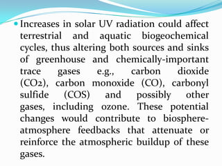  Increases in solar UV radiation could affect
 terrestrial and aquatic biogeochemical
 cycles, thus altering both sources and sinks
 of greenhouse and chemically-important
 trace     gases    e.g.,   carbon    dioxide
 (CO2), carbon monoxide (CO), carbonyl
 sulfide    (COS)     and    possibly   other
 gases, including ozone. These potential
 changes would contribute to biosphere-
 atmosphere feedbacks that attenuate or
 reinforce the atmospheric buildup of these
 gases.
 