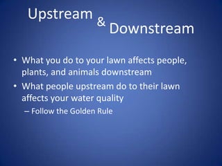 Upstream &
Downstream
• What you do to your lawn affects people,
plants, and animals downstream
• What people upstream do to their lawn
affects your water quality
– Follow the Golden Rule
 