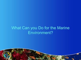 Protecting the marine environment | PPT