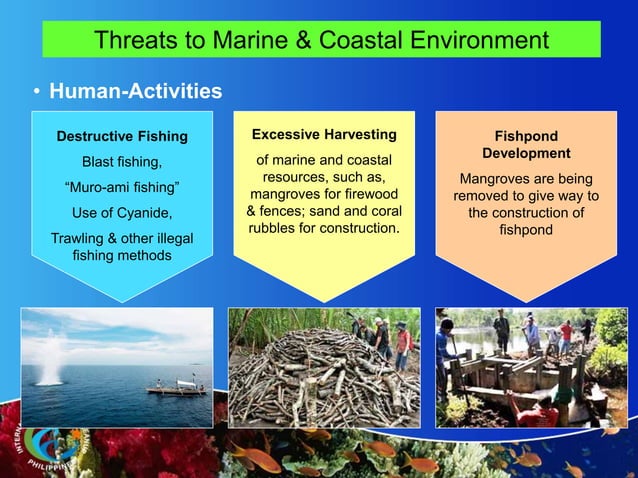 Protecting the marine environment | PPT