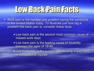 Low Back Pain Facts <ul><li>Back pain is the number one problem facing the workforce in the United States today. To illust...