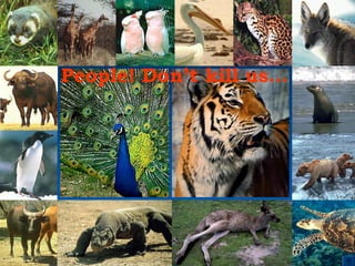 People! Don’t kill us… 
