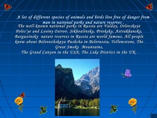 A lot of different species of animals and birds live free of danger from 
man in national parks and nature reserves . 
The well-known national parks in Russia are VVaallddaayy,, OOrrlloovvsskkooyyee 
PPoolleess’’yyee aanndd LLoossiinnyy OOssttrroovv.. SSiikkhhooaalliinnsskkyy,, PPrriiookksskkyy,, AAssttrraakkhhaannsskkyy,, 
BBaarrgguuzziinnsskkyy nnaattuurree rreesseerrvveess iinn RRuussssiiaa aarree wwoorrlldd ffaammoouuss.. AAllll ppeeooppllee 
kknnooww aabboouutt BBeelloovveezzhhsskkaayyaa PPuusshhcchhaa iinn BBeelloorruussssiiaa,, YYeelllloowwssttoonnee,, TThhee 
GGrreeaatt SSmmookkyy MMoouunnttaaiinnss,, 
TThhee GGrraanndd CCaannyyoonn iinn tthhee UUSSAA,, TThhee LLaakkee DDiissttrriicctt iinn tthhee UUKK.. 
 