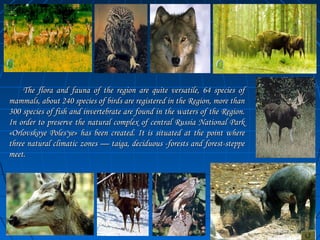 TThhee fflloorraa aanndd ffaauunnaa ooff tthhee rreeggiioonn aarree qquuiittee vveerrssaattiillee,, 6644 ssppeecciieess ooff 
mmaammmmaallss,, aabboouutt 224400 ssppeecciieess ooff bbiirrddss aarree rreeggiisstteerreedd iinn tthhee RReeggiioonn,, mmoorree tthhaann 
330000 ssppeecciieess ooff ffiisshh aanndd iinnvveerrtteebbrraattee aarree ffoouunndd iinn tthhee wwaatteerrss ooff tthhee RReeggiioonn.. 
IInn oorrddeerr ttoo pprreesseerrvvee tthhee nnaattuurraall ccoommpplleexx ooff cceennttrraall RRuussssiiaa NNaattiioonnaall PPaarrkk 
«OOrrlloovvsskkooyyee PPoolleess''yyee» hhaass bbeeeenn ccrreeaatteedd.. IItt iiss ssiittuuaatteedd aatt tthhee ppooiinntt wwhheerree 
tthhrreeee nnaattuurraall cclliimmaattiicc zzoonneess —— ttaaiiggaa,, ddeecciidduuoouuss --ffoorreessttss aanndd ffoorreesstt--sstteeppppee 
mmeeeett.. 
 