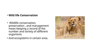 Protection and Conservation of Ecosystems.pptx