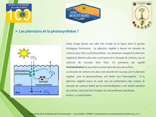 13
 Les planctons et la photosynthèse ?
La promotion de la Protection de l’Environnement – : Louis ALEKA – RYBERT- Coordonnateur du centenaire pour le District 403 – B - 1
Cette image donne une idée très simple de la façon dont la pompe
biologique fonctionne. Le plancton végétal a besoin de dioxyde de
carbone pour faire sa photosynthèse. Les bactéries mangent le plancton
végétal et libèrent alors des nutriments et le dioxyde de carbone, qui se
retrouve de nouveau dans l'eau. Ce processus est appelé
reminéralisation et se produit surtout dans les eaux de surface.
Le dioxyde de carbone est alors soit absorbé de nouveau par le plancton
végétal pour la photosynthèse, soit libéré vers l'atmosphère. Si le
plancton végétal meurt et coule vers les profondeurs des océans, le
dioxyde de carbone libéré par la reminéralisation y est stocké pendant
des siècles, réduisant ainsi l'impact du réchauffement planétaire.
Auteur: Lucinda Spokes.
 