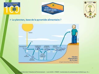 16
 Le plancton, base de la pyramide alimentaire ?
La promotion de la Protection de l’Environnement – : Louis ALEKA – RYBERT- Coordonnateur du centenaire pour le District 403 – B - 1
 