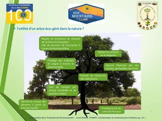 19
 l’utilité d’un arbre éco-géré dans la nature ?
Régule les émissions de dioxyde
de carbone et d’oxygène :
rôle de poumon de l’humanité à
travers la photosynthèse
Fait de l’ombre par
temps ensoleillé et de
grandes chaleur
Permet de construire
des habitations
Permet la cuisson des
aliments à partir du
bois de chauffe
Nourrit l’homme par ses
racines, ses feuilles, ses fruits
Protège des maladies
et soigne à travers la
pharmacopée
Protège le sol, les
cotes de l’érosion
Retient le carbone
en le piégeant
La promotion de la Protection de l’Environnement – : Louis ALEKA – RYBERT- Coordonnateur du centenaire pour le District 403 – B - 1
 