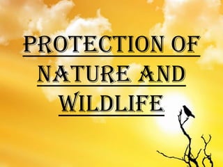 PROTECTION OF
NATURE AND
WILDLIFE

 