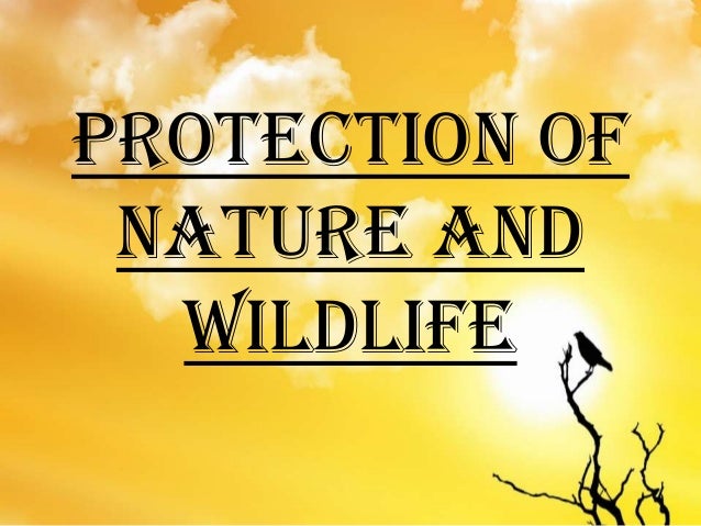 download ppt presentation on save wildlife