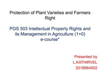 Protection of Plant Varieties and Farmers
Right
PGS 503 Intellectual Property Rights and
its Management in Agriculture (1+0)
e-course*
Presented by
L.KATHIRVEL
2018664502
 