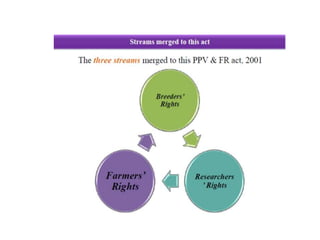 Farmers Rights Vs Researchers Rights Protection of plant varieties and farmers right | PPTX