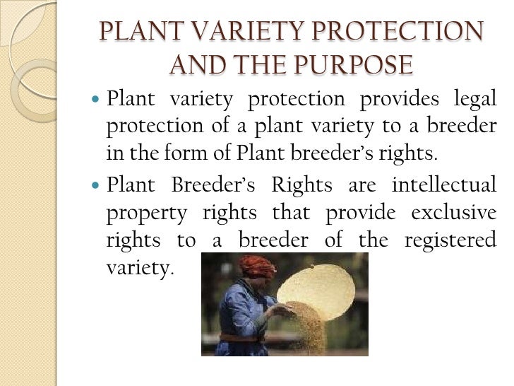 Protection of plant varieties and farmers� rights act