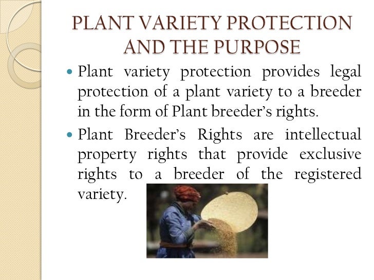 Protection of plant varieties and farmers' rights act