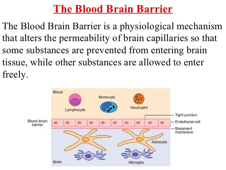 Protection Of The Cns