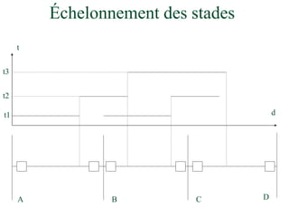 Échelonnement des stades
d
t2
t1
t
t3
A B C D
 
