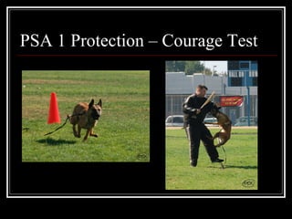 PSA 1 Protection – Courage Test 
