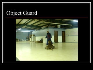 Object Guard 