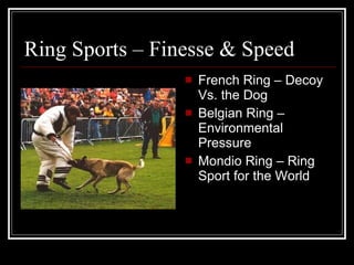 Ring Sports – Finesse & Speed French Ring – Decoy Vs. the Dog Belgian Ring – Environmental Pressure Mondio Ring – Ring Sport for the World 