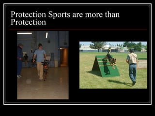 Protection Sports are more than Protection 