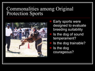 Commonalities among Original Protection Sports Early sports were designed to evaluate breeding suitability Is the dog of sound temperament? Is the dog trainable? Is the dog courageous? 
