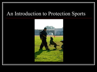 An Introduction to Protection Sports 
