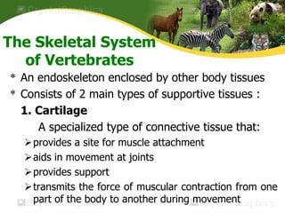 Protection, support and movement in animals | PPTX