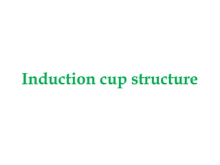Induction cup structure
 