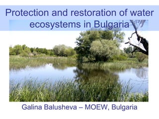 Protection and restoration of water
     ecosystems in Bulgaria




   Galina Balusheva – MOEW, Bulgaria
 