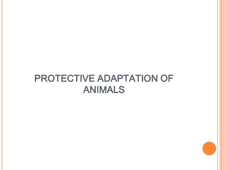 Protective adaptation of animals