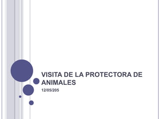 VISITA DE LA PROTECTORA DE
ANIMALES
12/05/205
 