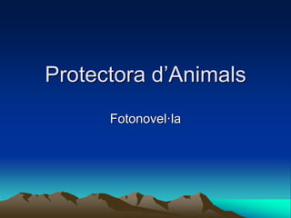 Protectora d’Animals
Fotonovel·la
 