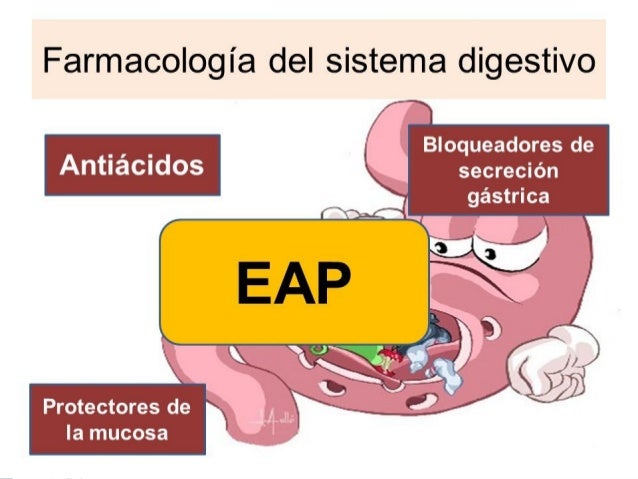 Protectores de la mucosa gastrica