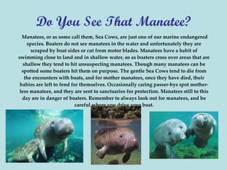 Protect Our Marine Life | PPT