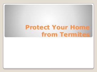 Protect Your Home
from Termites
 