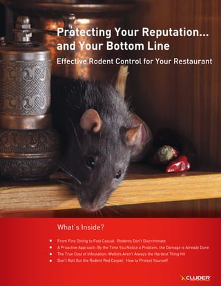 Protecting Your Reputation...
and Your Bottom Line
Effective Rodent Control for Your Restaurant
What’s Inside?
From Fine Dining to Fast Casual: Rodents Don't Discriminate
A Proactive Approach: By the Time You Notice a Problem, the Damage is Already Done
The True Cost of Infestation: Wallets Aren't Always the Hardest Thing Hit
Don't Roll Out the Rodent Red Carpet: How to Protect Yourself
 