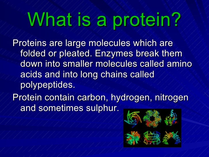 Protein