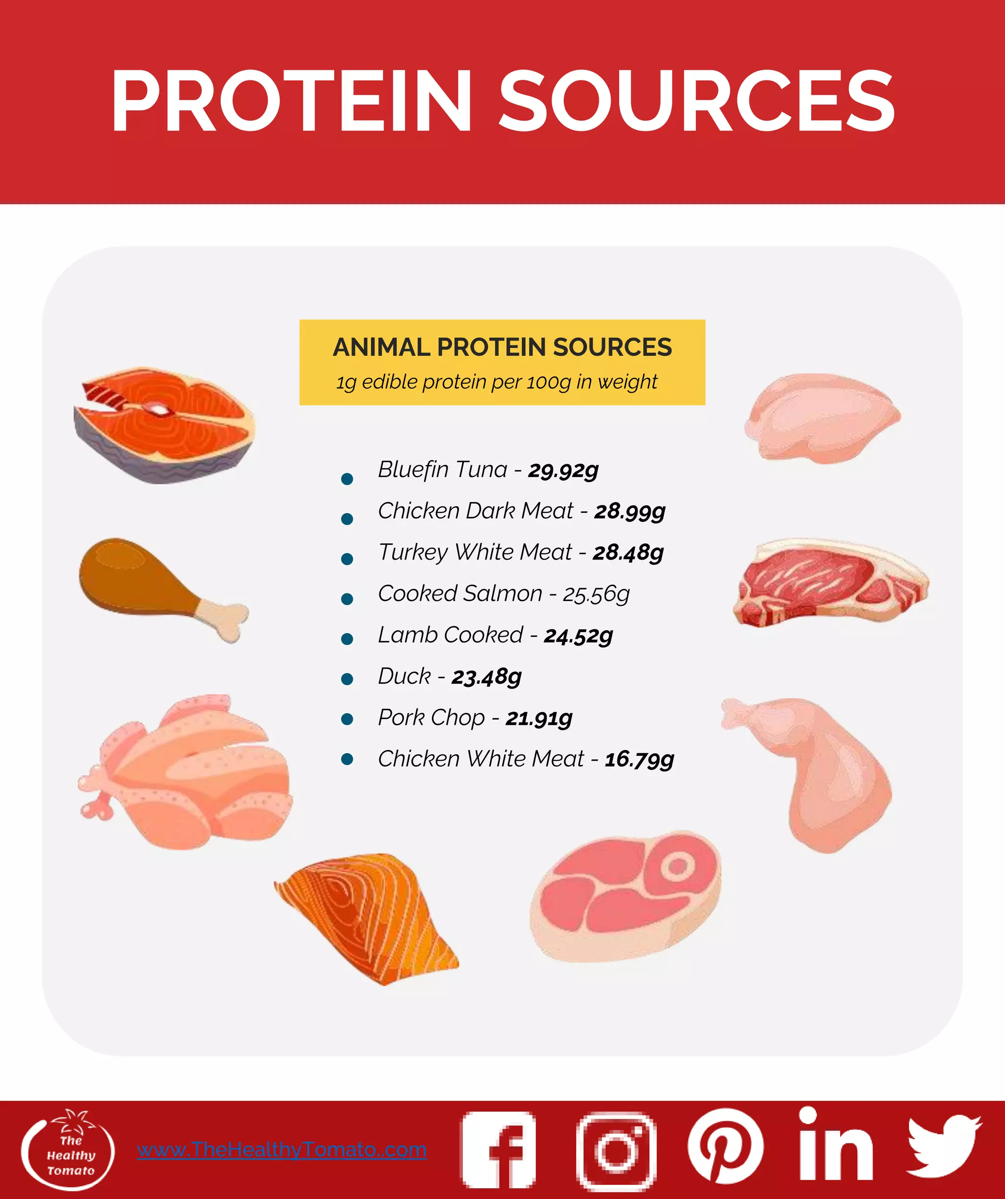Protein 101 Protein 101 | PPTX