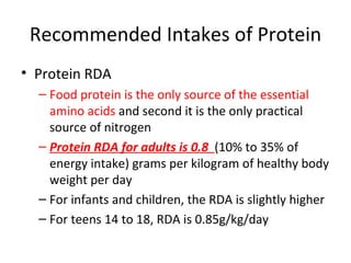 Recommended Intakes of Protein Protein RDA Food protein is the only source of the essential amino acids  and second it is the only practical source of nitrogen Protein RDA for adults is 0.8  (10% to 35% of energy intake) grams per kilogram of healthy body weight per day For infants and children, the RDA is slightly higher For teens 14 to 18, RDA is 0.85g/kg/day 