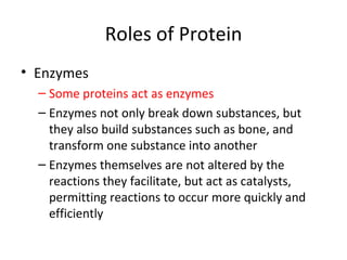Roles of Protein Enzymes Some proteins act as enzymes  Enzymes not only break down substances, but they also build substances such as bone, and transform one substance into another Enzymes themselves are not altered by the reactions they facilitate, but act as catalysts, permitting reactions to occur more quickly and efficiently 